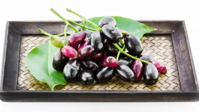 Jamun Disadvantages: जामुन खाते समय इन गलतियों से बचें: फायदे की जगह नुकसान; जानें किन चीजों से परहेज़ करें