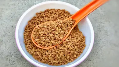Fenugreek Seeds Water: मेथी दाने का पानी पीने का क्या प्रभाव होता है? जानें खाना खाने का सही तरीका