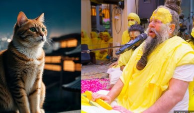Astro Tips: बिल्ली के रास्ता काटने पर क्या होता है? अब प्रेमानंद महाराज ने खुद चर्चा की