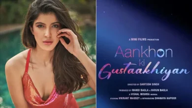 Aankhon Ki Gustaakhiyan Release Date: शनाया कपूर की डेब्यू फिल्म पोस्टर रिलीज, विक्रांत मैसी के साथ सजी है जोड़ी