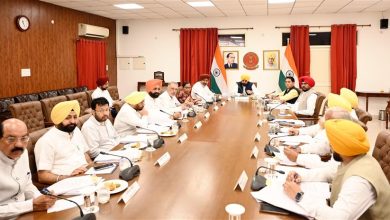 Punjab Cabinet का ऐतिहासिक फैसला: औद्योगिक भूखंडों के उपयोग में बदलाव को मंजूरी, उद्योगों को मिलेगी बड़ी राहत