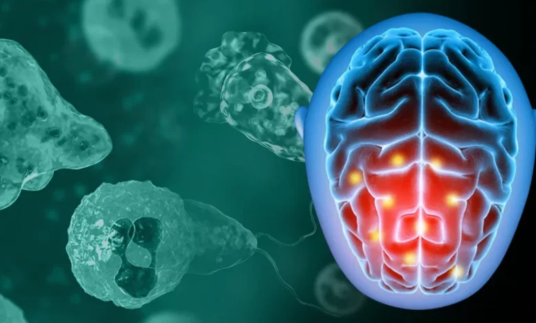 Brain Eating Amoeba: दिमाग खाने वाला अमीबा कितना खतरनाक होता है कैसे लक्षण महसूस होते हैं? जानें