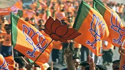 Delhi MCD Zone Election Result: वार्ड कमेटी चुनाव में भी बीजेपी की बड़ी जीत, AAP को झटका