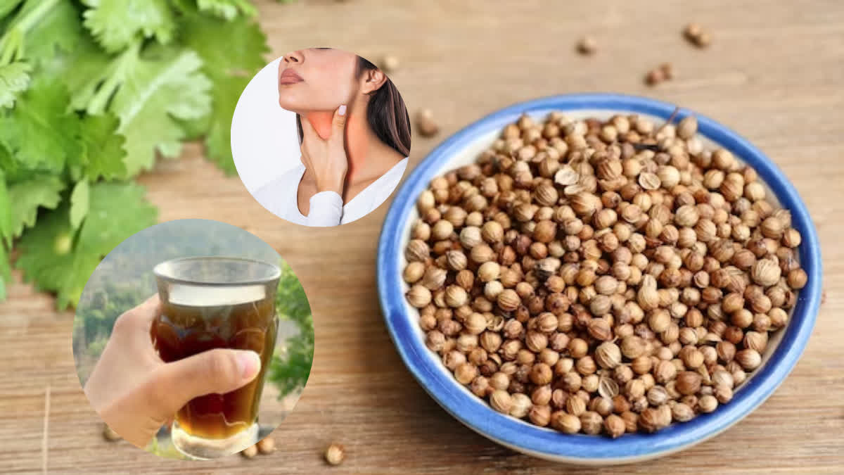 Coriander Water Benefits: धनिया पानी पीने से सेहत से जुड़ी कई समस्याएं दूर होंगी; जानें कब और कैसे इस्तेमाल करें?