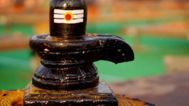 Shivling for Home Mandir: आपने घर में शिवलिंग रखते वक्त ये गलती तो नहीं की? परिणाम उलटा हो सकता है