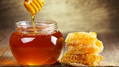 Honey and Milk Health Benefits: इस एक चीज को दूध में मिलाकर पिएं? फौलादी बन जायेगा शरीर