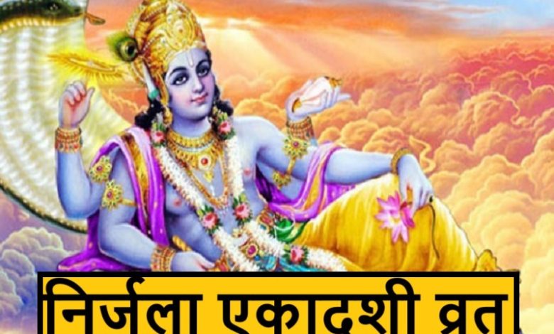 Nirjala Ekadashi 2025: निर्जला एकादशी पर इन पेड़ों पर जल चढ़ाना अनिवार्य है, क्योंकि इसके बिना व्रत पूरा नहीं होता
