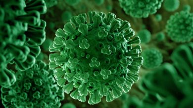 New Virus Found In Bat: चीन में पाए गए कोरोना से भी खतरनाक 20 वायरस, फल और पानी से लोगों में फैल सकते हैं।