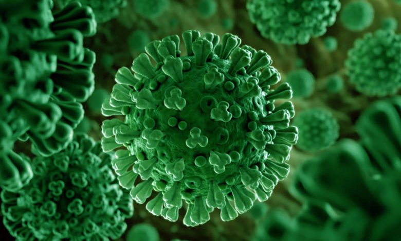 New Virus Found In Bat: चीन में पाए गए कोरोना से भी खतरनाक 20 वायरस, फल और पानी से लोगों में फैल सकते हैं। 1 New Virus Found In Bat: चीन में पाए गए कोरोना से भी खतरनाक 20 वायरस, फल और पानी से लोगों में फैल सकते हैं।