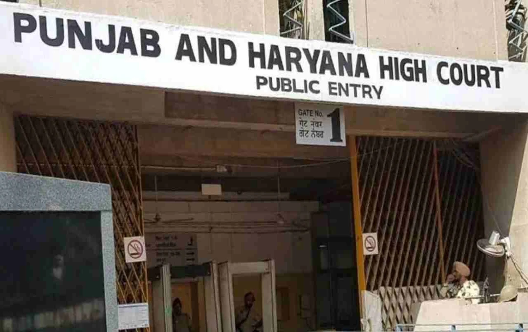 पंजाब-हरियाणा हाईकोर्ट में 10वीं पास युवाओं के लिए बंपर भर्ती, चपरासी पदों पर आवेदन शुरू