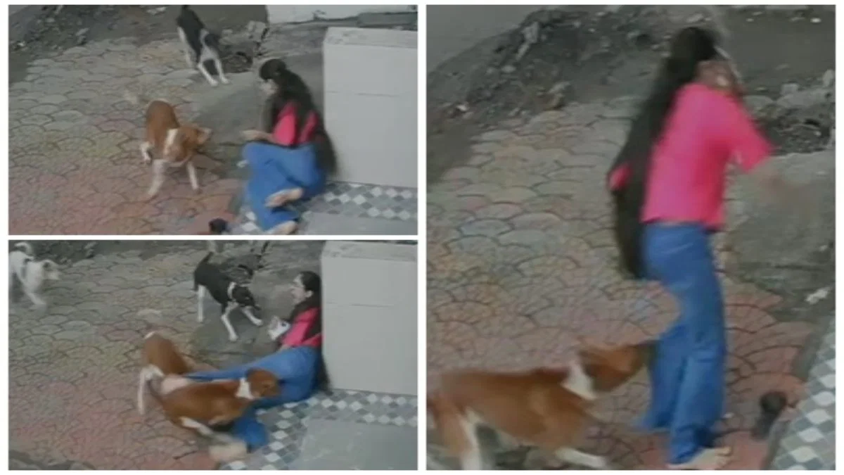 Indore Dog Attack Video: लड़की पर टूट पड़े आवारा कुत्ते, घेरकर काटा, फिर दोबारा झपटे, ये Video रोंगटे खड़े कर देगा