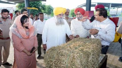 कृषि मंत्री गुरमीत सिंह खुदियां ने लाडोवाल मेगा फूड पार्क का किया निरीक्षण, कृषि विकास को दी नई दिशा