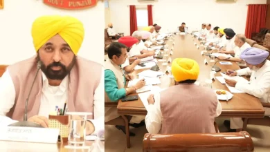 लैंड पूलिंग नीति 2025 में भगवंत मान कैबिनेट ने संशोधन को मंजूरी दी, किसानों के लिए बड़ा ऐलान