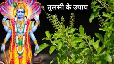 Devshayani Ekadashi: देवशयनी एकादशी पर ये 3 तुलसी उपाय करें, आपको सुख-समृद्धि मिलेगी