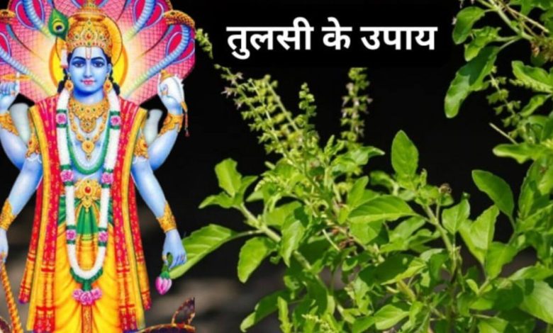 Devshayani Ekadashi: देवशयनी एकादशी पर ये 3 तुलसी उपाय करें, आपको सुख-समृद्धि मिलेगी 1 Devshayani Ekadashi: देवशयनी एकादशी पर ये 3 तुलसी उपाय करें, आपको सुख-समृद्धि मिलेगी