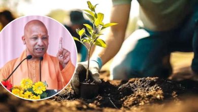 सीएम योगी आजमगढ़ से करेंगे 37 करोड़ पौधों के महाभियान की शुरुआत