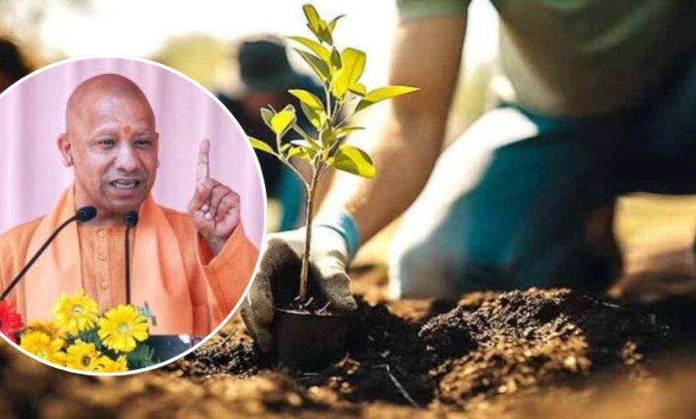 सीएम योगी आजमगढ़ से करेंगे 37 करोड़ पौधों के महाभियान की शुरुआत