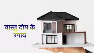 वास्तु दोष के उपाय: ये आसान और प्रभावी वास्तु टिप्स घर में सुख-समृद्धि और खुशहाली के लिए अपनाएं
