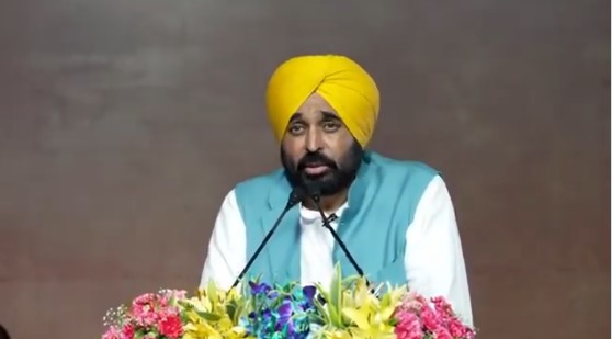 सीएम भगवंत मान शहीद ऊधम सिंह के शहादत दिवस पर इशारों-इशारों में बड़ी बात कह गए