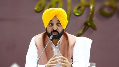 FIR पर सीएम मान का तीखा बयान: "AAP नेताओं की आवाज दबाने में लगी है केंद्र सरकार", लोकतंत्र को बताया खतरे में