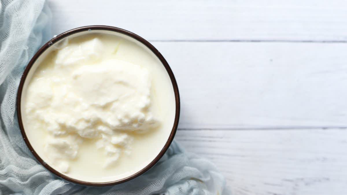 मानसून डाइट टिप्स: दही सेहत के लिए बहुत फायदेमंद है, लेकिन इन कारणों से बारिश के मौसम में इसे खाने से बचना चाहिए