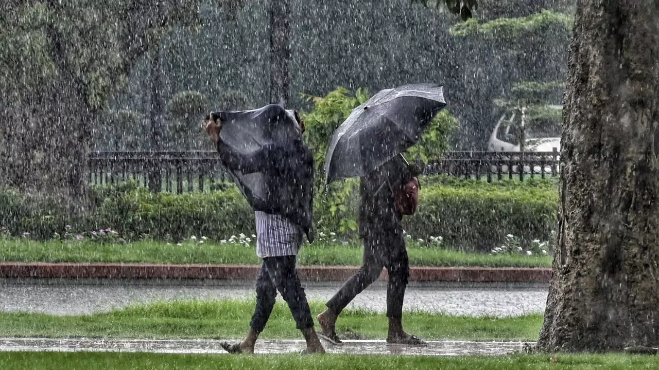 दिल्ली-NCR में लगातार 7 दिन भारी बारिश के आसार, IMD ने दी चेतावनी 12 दिल्ली-NCR में लगातार 7 दिन भारी बारिश के आसार, IMD ने दी चेतावनी