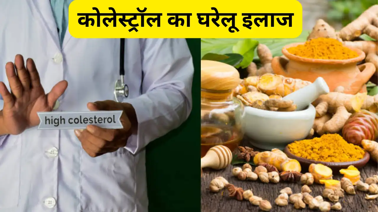 हाई कोलेस्ट्रॉल कम करने के उपाय: ये सुपरफूड्स पिघलाएंगे धमनियों में जमा ट्राइग्लिसराइड्स और साफ करें बंद नसें