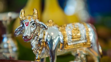 कामधेनु मूर्ति घर में रखने के लाभ क्या हैं? जानिए वास्तु के अनुसार पूरा राज