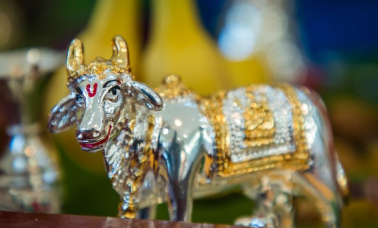 कामधेनु मूर्ति घर में रखने के लाभ क्या हैं? जानिए वास्तु के अनुसार पूरा राज