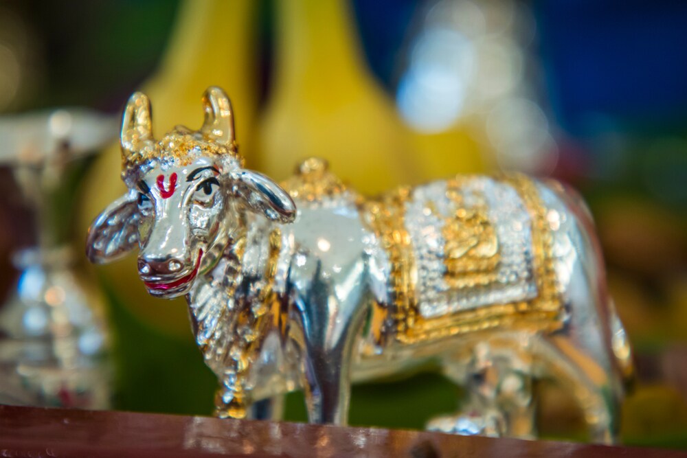 कामधेनु मूर्ति घर में रखने के लाभ क्या हैं? जानिए वास्तु के अनुसार पूरा राज