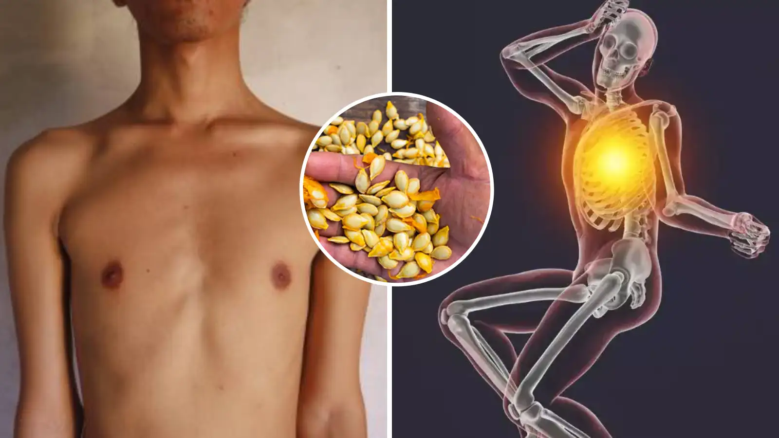 शरीर में हर समय बनी रहती है सुस्ती और कमजोरी? डाइट में शामिल करें ये सुपरफूड्स और पाएं नई ऊर्जा 12 शरीर में हर समय बनी रहती है सुस्ती और कमजोरी? डाइट में शामिल करें ये सुपरफूड्स और पाएं नई ऊर्जा