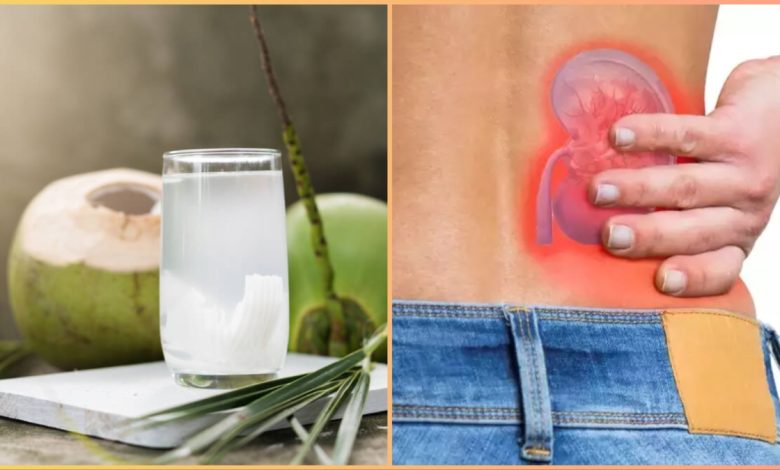 किडनी की बीमारी में नारियल पानी पीने से क्यों करना चाहिए बचाव? जानिए पूरी जानकारी