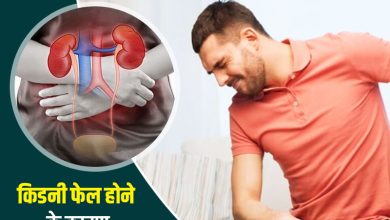 किडनी फेल के लक्षण: जानें कैसे करें अपनी किडनी को स्वस्थ और सुरक्षित 2 किडनी फेल के लक्षण: जानें कैसे करें अपनी किडनी को स्वस्थ और सुरक्षित