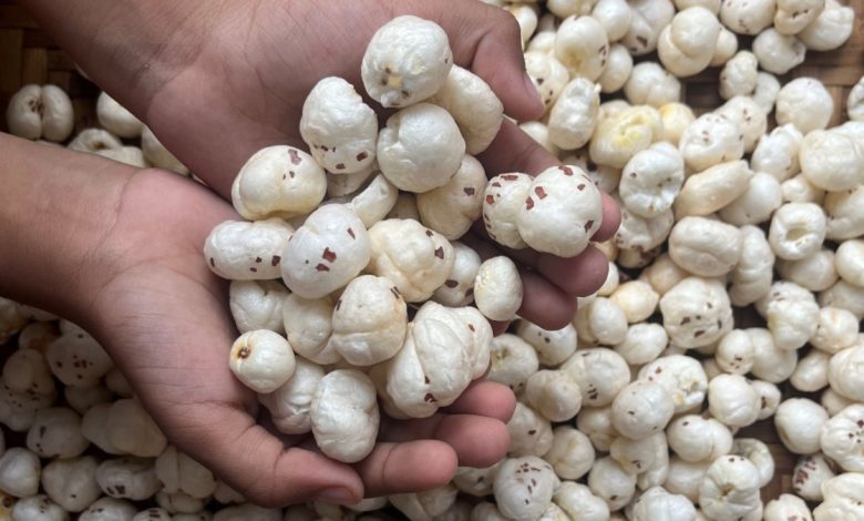 Benefits Of Consuming Makhana: जानें किन अंगों के लिए फायदेमंद है मखाना, साथ ही सही समय और तरीका