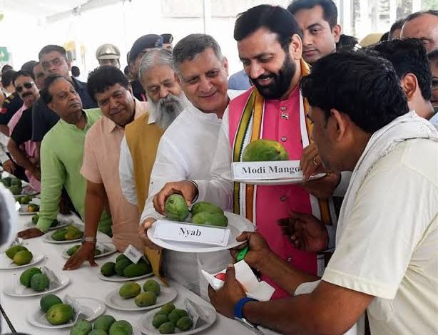 Mango Festival: मैंगो मेला 4 से 6 जुलाई तक, आम की 500 किस्मों का होगा प्रदर्शन 1 Mango Festival: मैंगो मेला 4 से 6 जुलाई तक, आम की 500 किस्मों का होगा प्रदर्शन