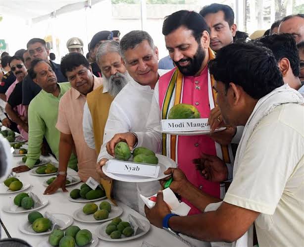 Mango Festival: मैंगो मेला 4 से 6 जुलाई तक, आम की 500 किस्मों का होगा प्रदर्शन