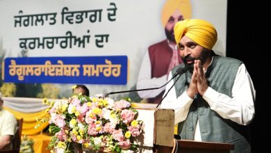 सीएम भगवंत मान ने सौंपे नियुक्ति पत्र, वन विभाग के 942 कर्मचारियों को मिली स्थायी नौकरी