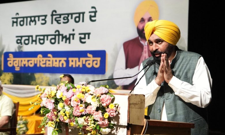 सीएम भगवंत मान ने सौंपे नियुक्ति पत्र, वन विभाग के 942 कर्मचारियों को मिली स्थायी नौकरी