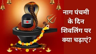 नाग पंचमी 2025 पर शिवलिंग पर इन पांच चीजों को अर्पित करें, कालसर्प दोष से छुटकारा मिलेगा