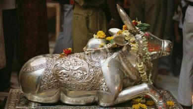 सावन में चांदी के नंदी खरीदना शुभ होता है? क्या है धार्मिक महत्व और वास्तु के अनुसार इसका असर?