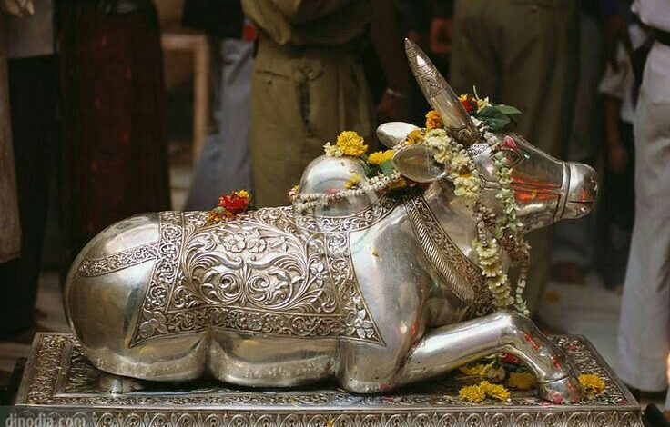 सावन में चांदी के नंदी खरीदना शुभ होता है? क्या है धार्मिक महत्व और वास्तु के अनुसार इसका असर? 1 सावन में चांदी के नंदी खरीदना शुभ होता है? क्या है धार्मिक महत्व और वास्तु के अनुसार इसका असर?