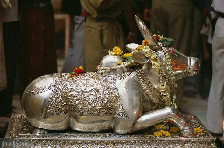 सावन में चांदी के नंदी खरीदना शुभ होता है? क्या है धार्मिक महत्व और वास्तु के अनुसार इसका असर?