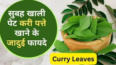 सुबह-सुबह खाली पेट पिएं करी पत्ते का पानी, बढ़ाएं अपनी रोग प्रतिरोधक क्षमता और पाएं सेहत के कई लाभ