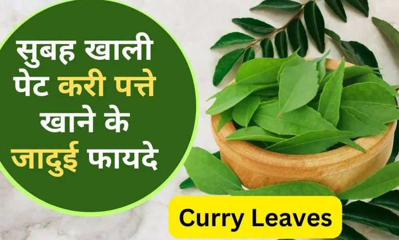 सुबह-सुबह खाली पेट पिएं करी पत्ते का पानी, बढ़ाएं अपनी रोग प्रतिरोधक क्षमता और पाएं सेहत के कई लाभ