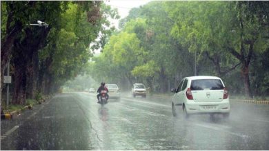 पंजाब में भारी बारिश का अलर्ट, तापमान में गिरावट के साथ मौसम हुआ सुहाना