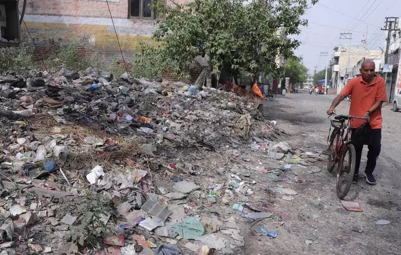 जालंधर नगर निगम का कड़ा फैसला: खाली प्लॉट में गंदगी पर अब लगेगा भारी जुर्माना