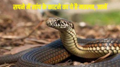 सपने में सांप का काटना: स्वप्न शास्त्र से जानिए क्या है सच में इसका मतलब?