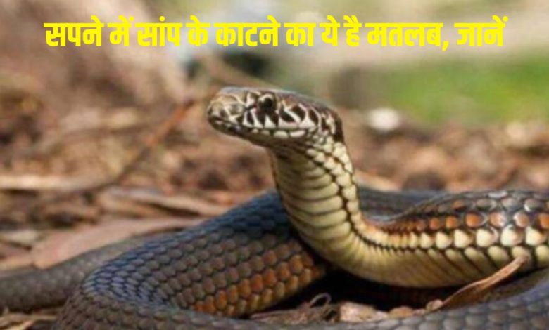 सपने में सांप का काटना: स्वप्न शास्त्र से जानिए क्या है सच में इसका मतलब?