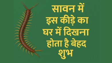 सावन में घर में कनखजूरा दिखना शुभ, समझिए बढ़ेगा आपका भाग्य और खुशहाली