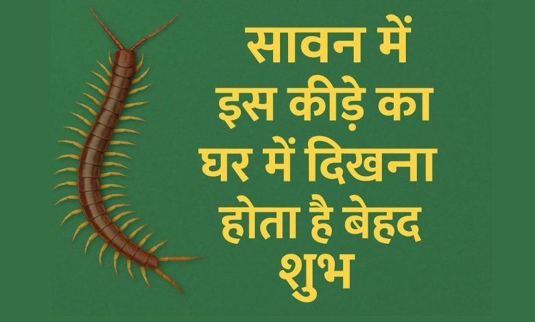 सावन में घर में कनखजूरा दिखना शुभ, समझिए बढ़ेगा आपका भाग्य और खुशहाली